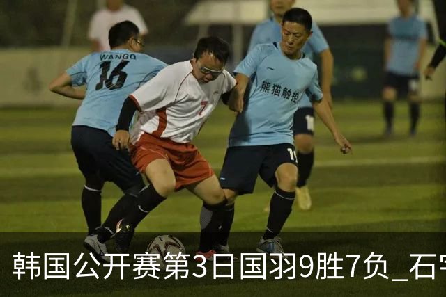 韩国公开赛第3日国羽9胜7负 石宇奇李诗沣等晋级